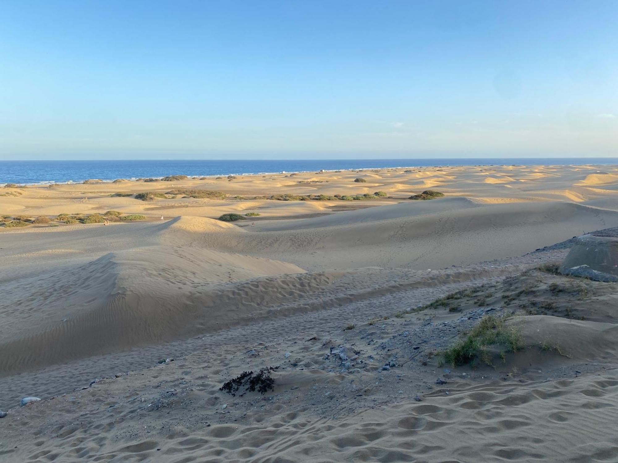 Descanso Junto A Dunas